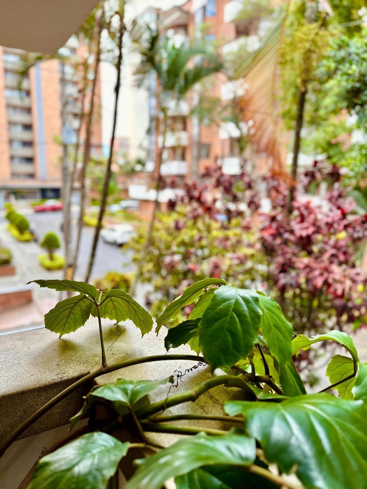 Fiorentina Hotel